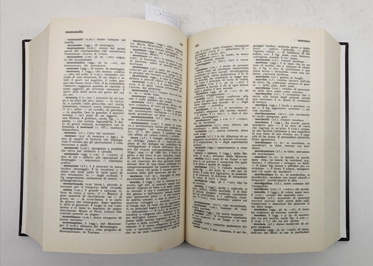 Vocabolario della lingua italiana European Book Milano 1998