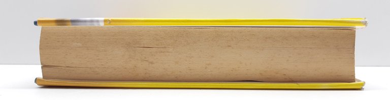 Wally Lamb A sud delle nuvole romanzo Longanesi 1999