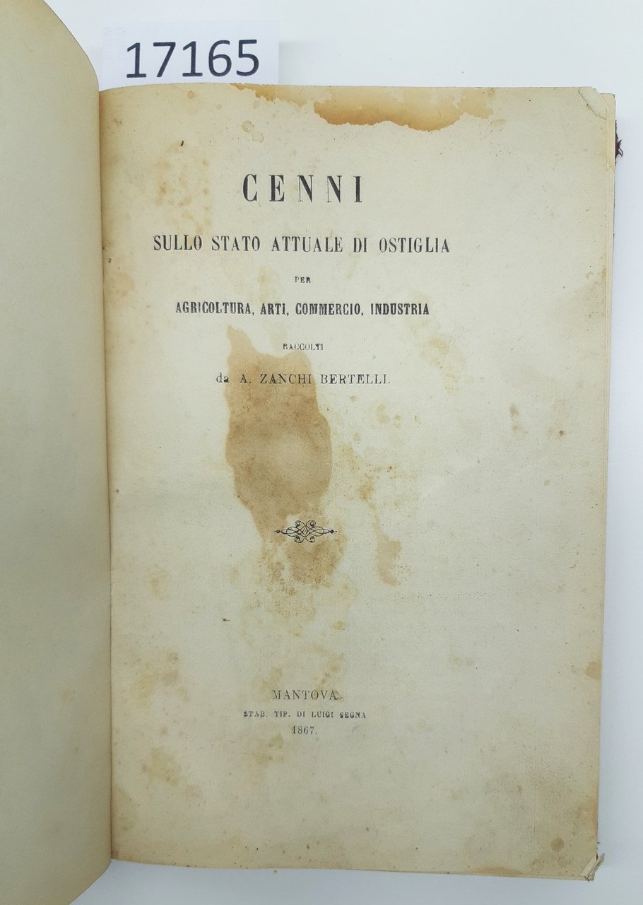Zanchi Bertelli Statistica e storia di Ostiglia Mantova 1867