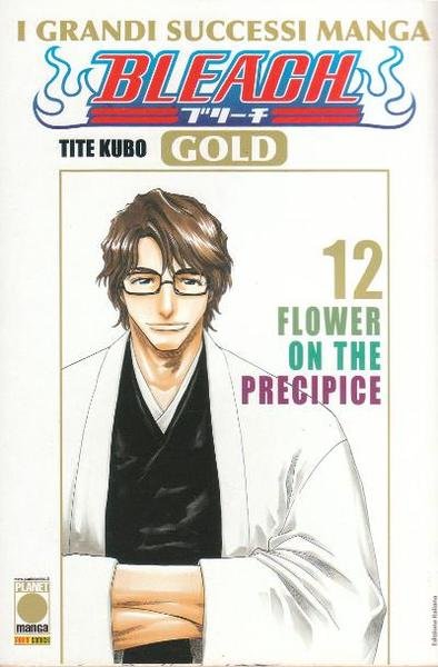 Bleach 12 - Gold