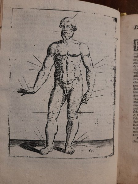 DISCORSI SOPRA IL MODO DI SANGUINARE ATTACCAR LE SANGUISUGHE E …