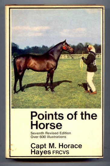 POINTS OF THE HORSE