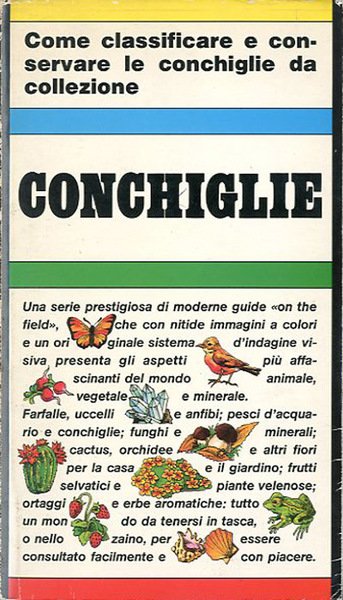 Conchiglie da collezione.