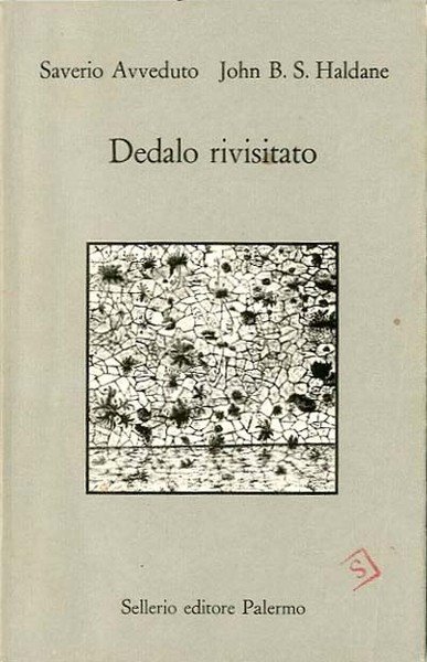 Dedalo rivisitato.
