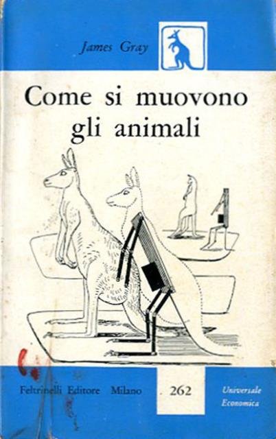 Come si muovono gli animali.