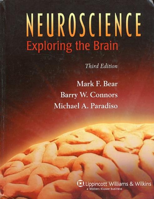 Neuroscience. Exploring the Brain.