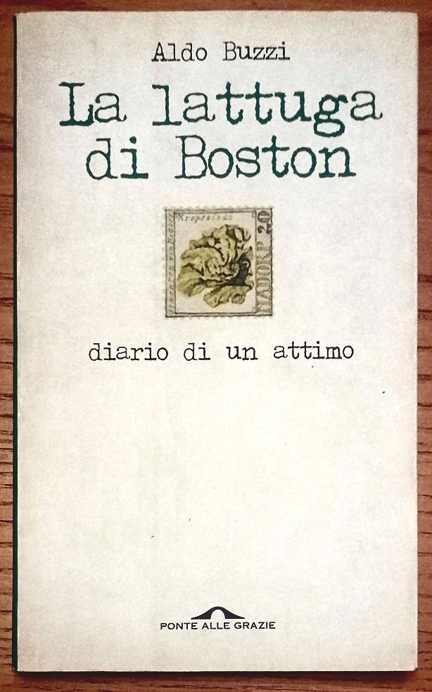 La lattuga di Boston. Diario di un attimo.