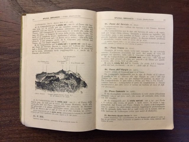 Alpi Retiche Occidentali - Volume I - Alpi Centrali | Immagine Gallery 8