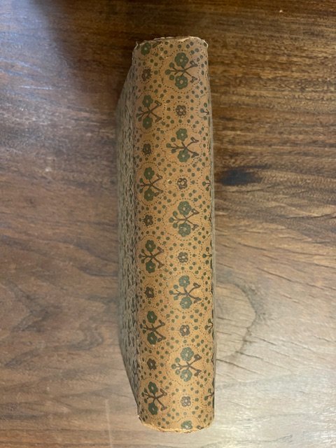 Domus Aurea. La reggia, la festa, l'amore a Venezia