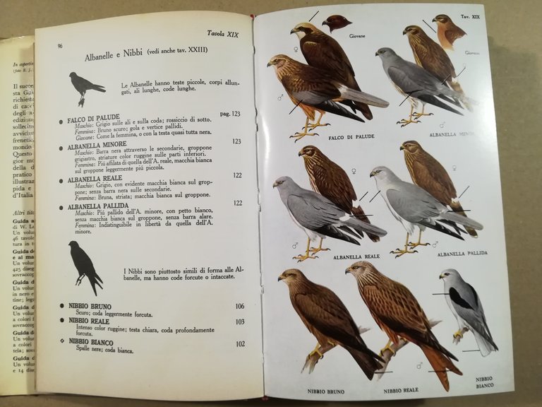 Guida degli uccelli d'Europa. Introduzione di Julian Huxley | Immagine Gallery 2