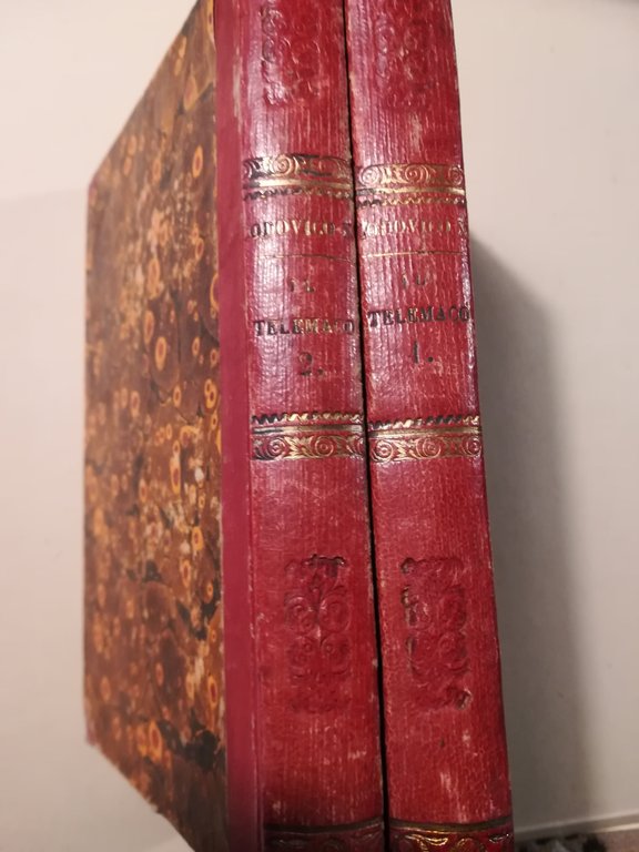 Il Telemaco in ottava rima tratto dal francese, e dedicato … | Immagine Gallery 2