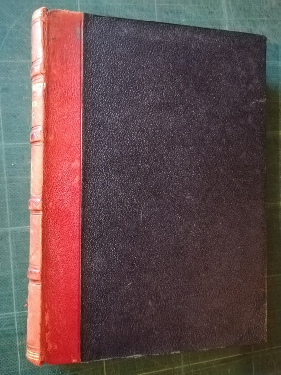 L'amante ignoto. Poema tragico | Immagine Gallery 2