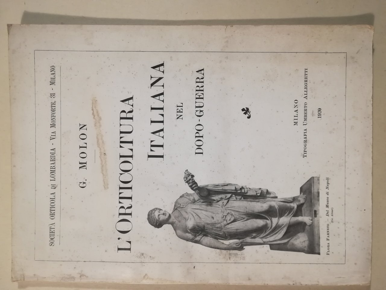L'orticoltura italiana nel dopo-guerra | Immagine principale