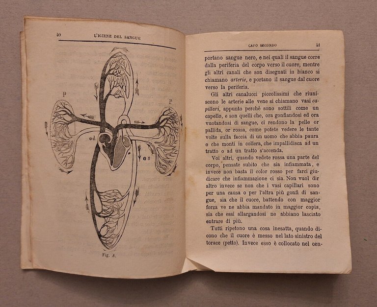 ALMANACCO IGIENICO DEL DOT. PAOLO MANTEGAZZA 1868 MILANO G. BRIGOLA …
