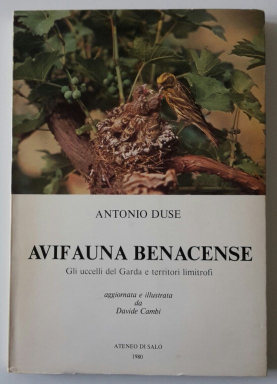 ANTONIO DUSE AVIFAUNA BENACENSE ATENEO DI SALO' 1980
