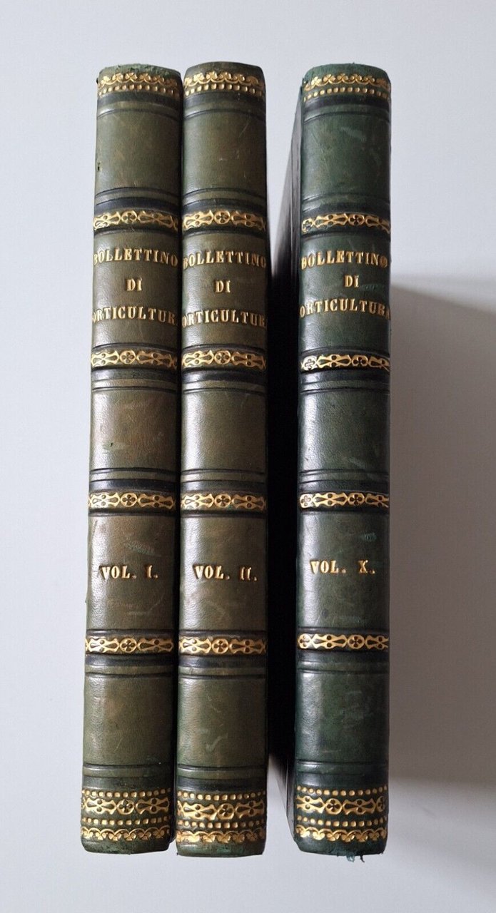 BULLETTINO DELLA R. SOCIETA' DI ORTICULTURA ANNO 1-2-10 1876-1877-1885