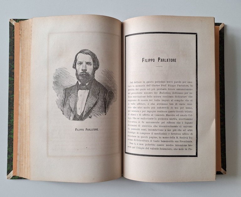 BULLETTINO DELLA R. SOCIETA' DI ORTICULTURA ANNO 1-2-10 1876-1877-1885