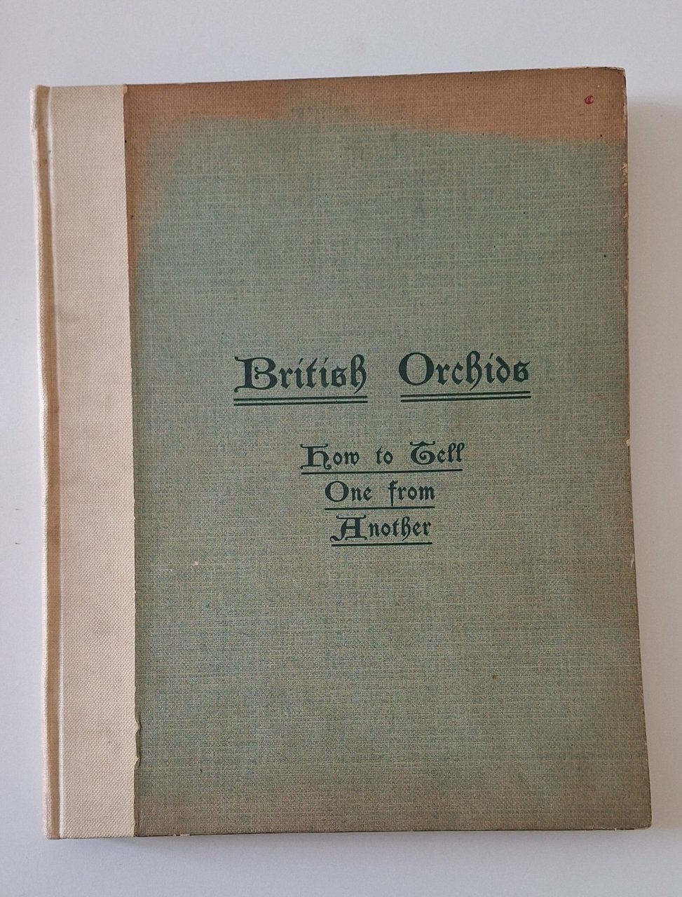 C. MACKENZIE BRITISH ORCHIDS HOW TO TELL ONE FROM ANOTHER …