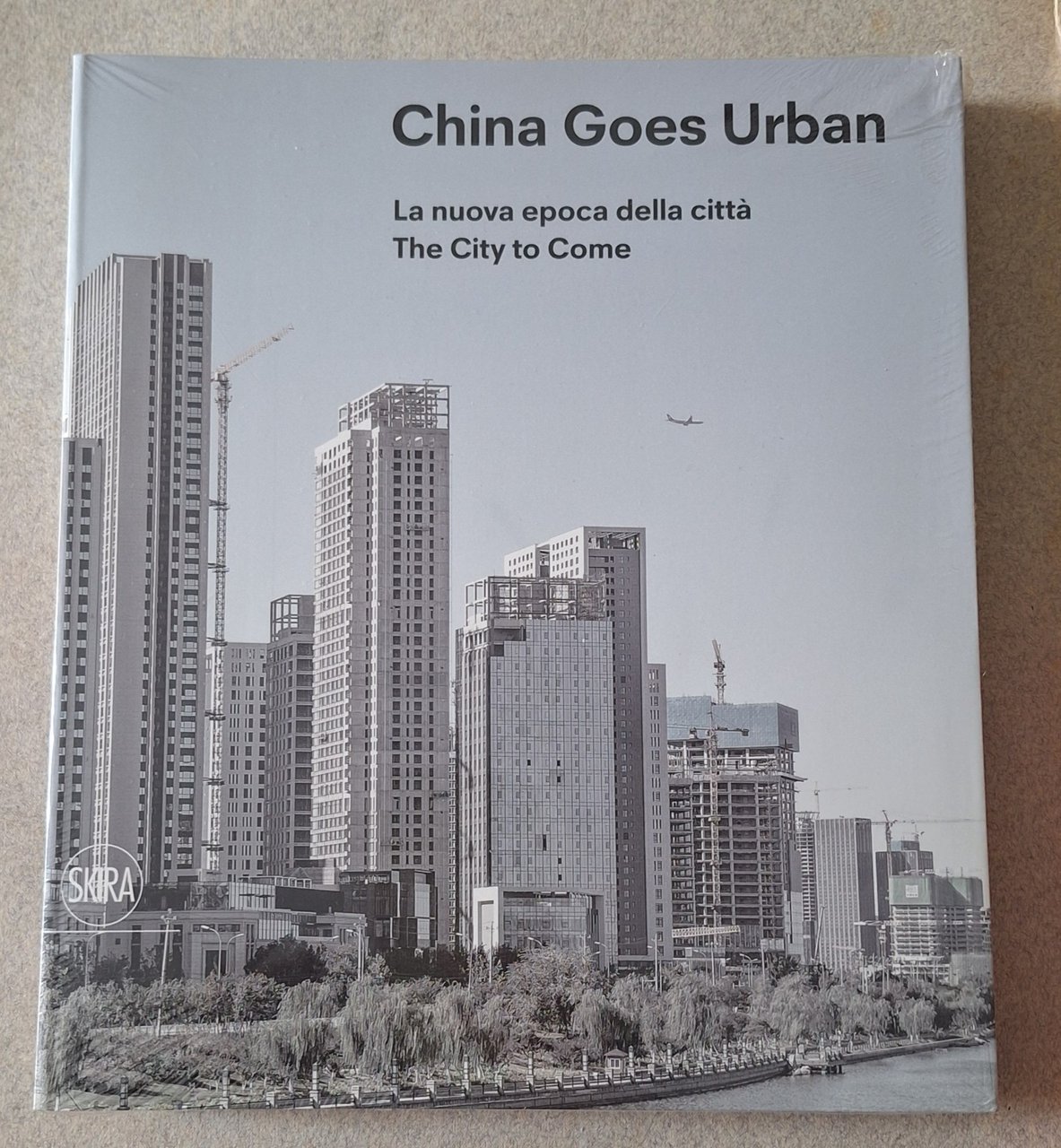 CHINA GOES URBAN SKIRA SIGILLATO
