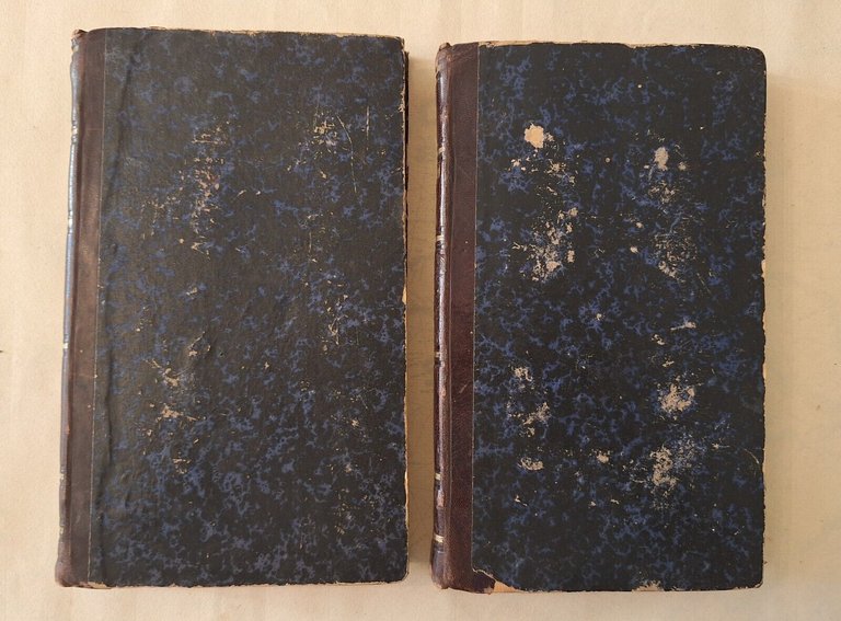 DIZIONARIO DEI PITTORI DI STEFANO TICOZZI MILANO TIP. V. FERRARIO …