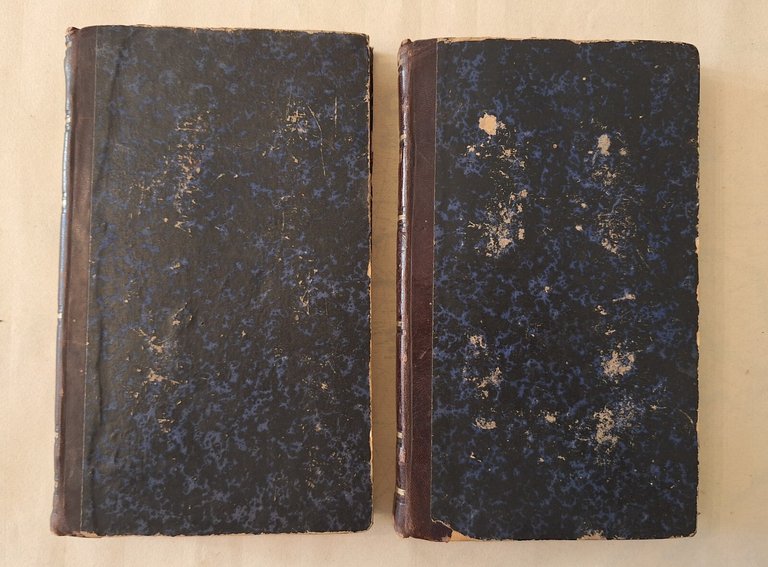 DIZIONARIO DEI PITTORI DI STEFANO TICOZZI MILANO TIP. V. FERRARIO …