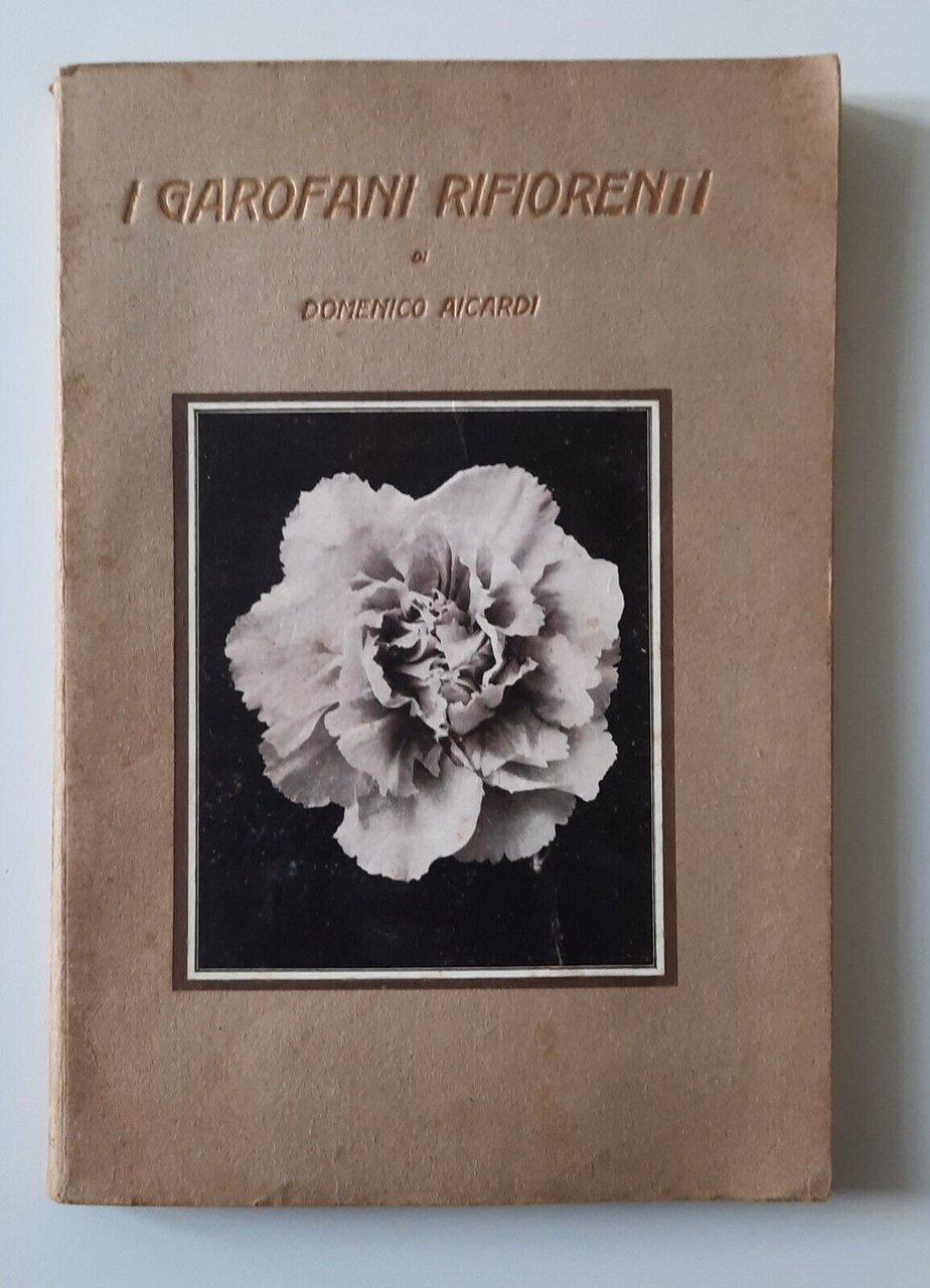 DOMENICO AICARDI I GAROFANI RIFIORENTI RAIMONDO 1929