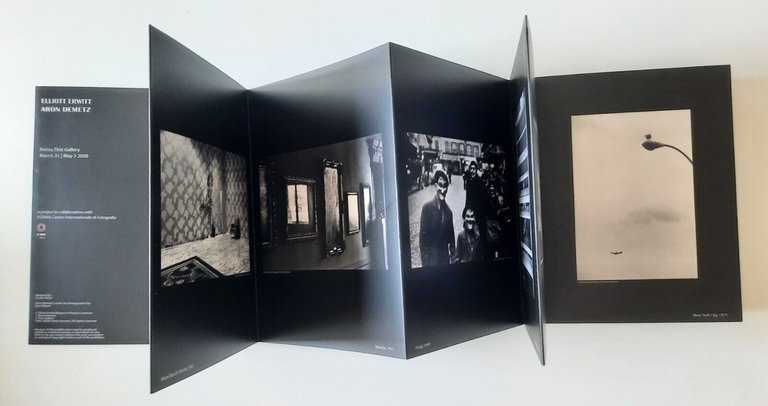 ELIOTT ERWIN ARON DEMETZ ROMA FIRST GALLERY 2008