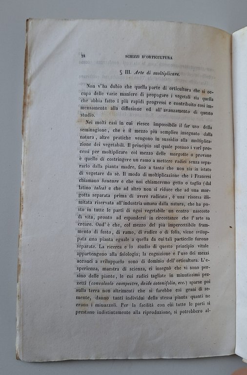 FRANCESCO PERTUSATI SCHIZZI DI ORTICOLTURA MILANO TIP. VALENTINI 1846 | Immagine Gallery 4