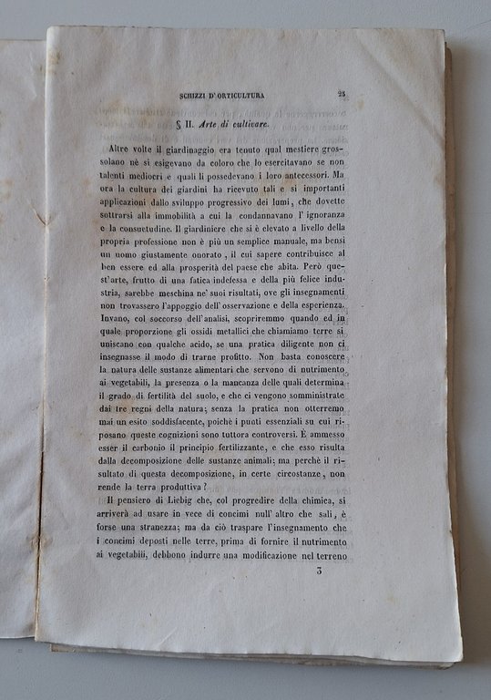 FRANCESCO PERTUSATI SCHIZZI DI ORTICOLTURA MILANO TIP. VALENTINI 1846 | Immagine Gallery 5