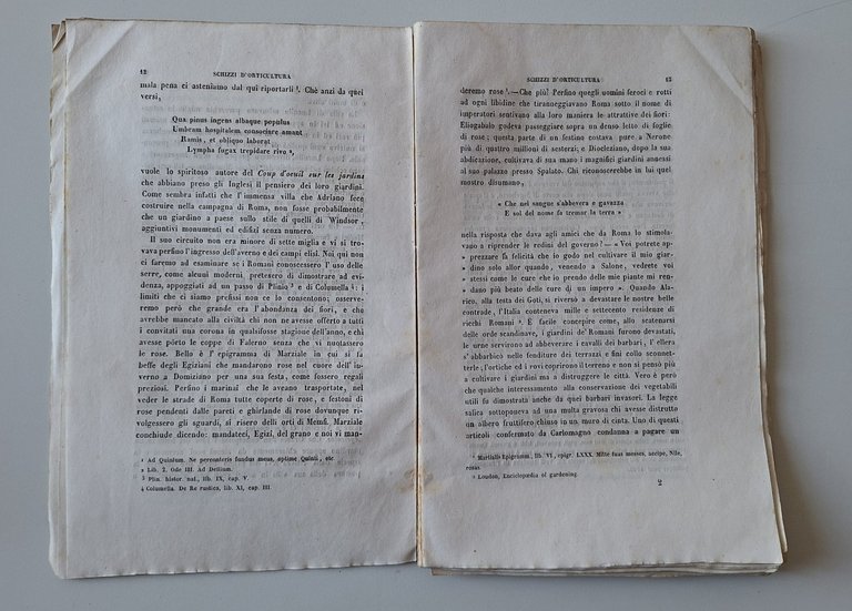 FRANCESCO PERTUSATI SCHIZZI DI ORTICOLTURA MILANO TIP. VALENTINI 1846 | Immagine Gallery 6