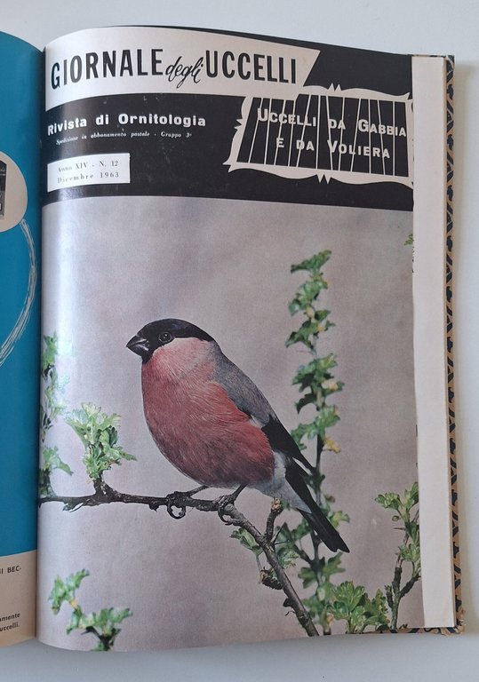 GIORNALE DEGLI UCCELLI RIVISTA DI ORNOTOLOGIA ANNATA 1964