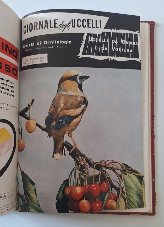 GIORNALE DEGLI UCCELLI RIVISTA DI ORNOTOLOGIA ANNATA 1964