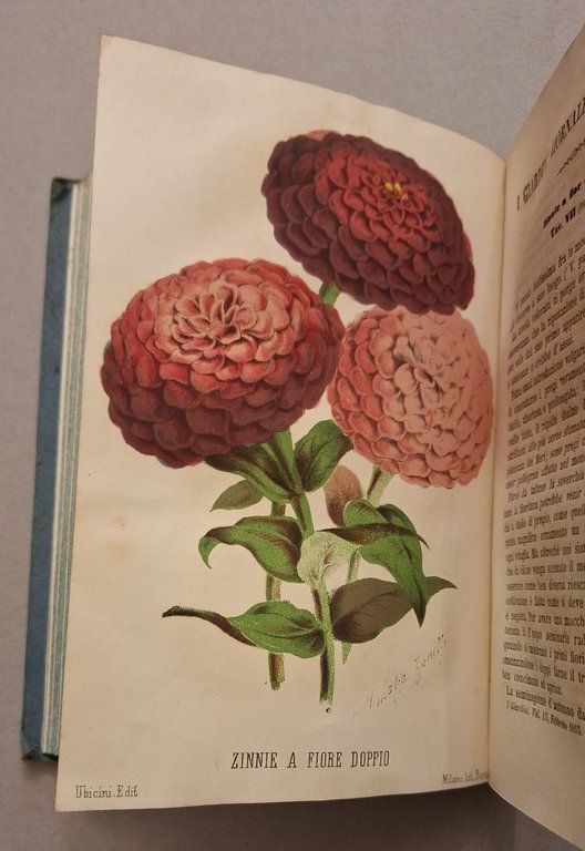 I GIARDINI GIORNALE D'ORTICOLTURA MILANO A. UBICINI DALL'ANNO 1° AL … | Immagine Gallery 20