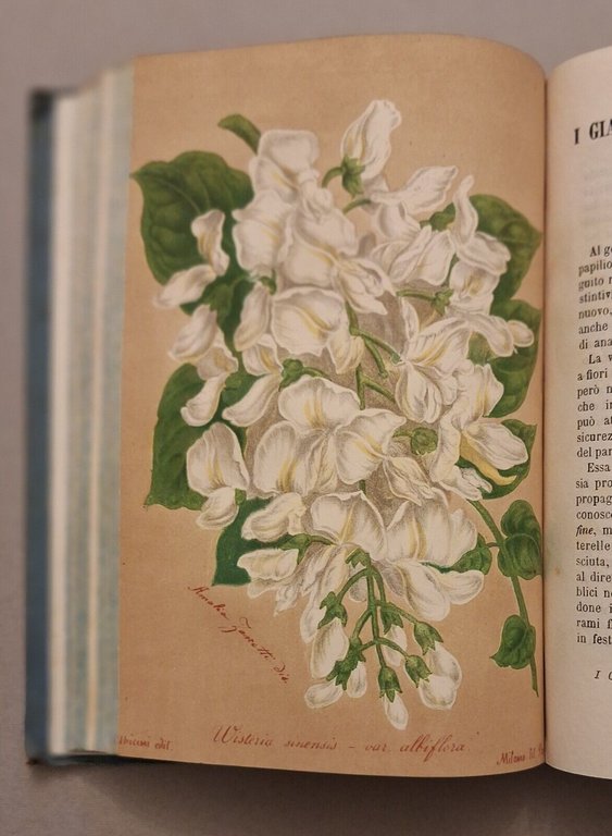 I GIARDINI GIORNALE D'ORTICOLTURA MILANO A. UBICINI DALL'ANNO 1 AL …