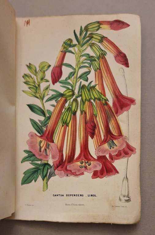 I GIARDINI GIORNALE D'ORTICOLTURA MILANO A. UBICINI DALL'ANNO 1 AL …