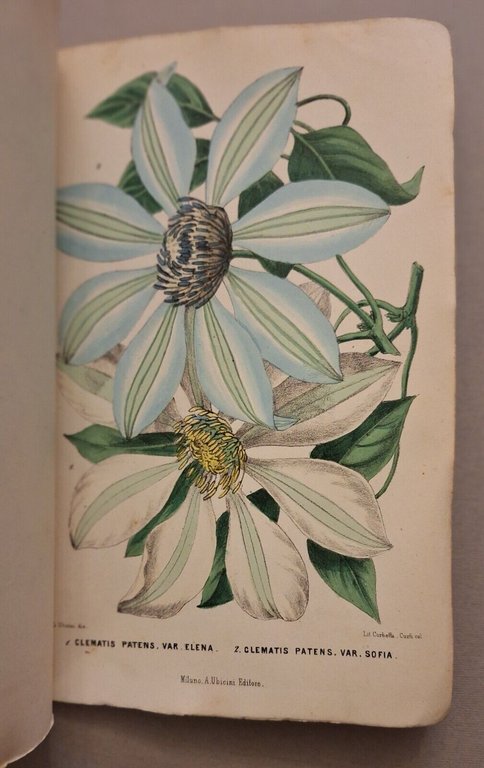 I GIARDINI GIORNALE D'ORTICOLTURA MILANO A. UBICINI DALL'ANNO 1 AL …