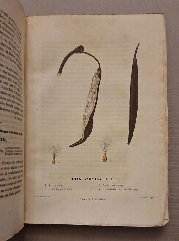 I GIARDINI GIORNALE D'ORTICOLTURA MILANO A. UBICINI DALL'ANNO 1 AL …