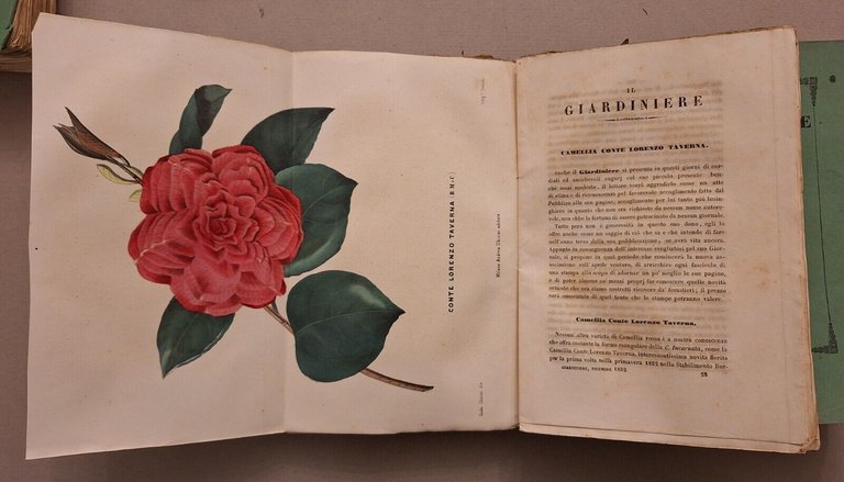IL GIARDINIERE GIORNALE D'ORTICOLTURA TEORICA E PRATICA A.UBICINI 1852-1853-1854