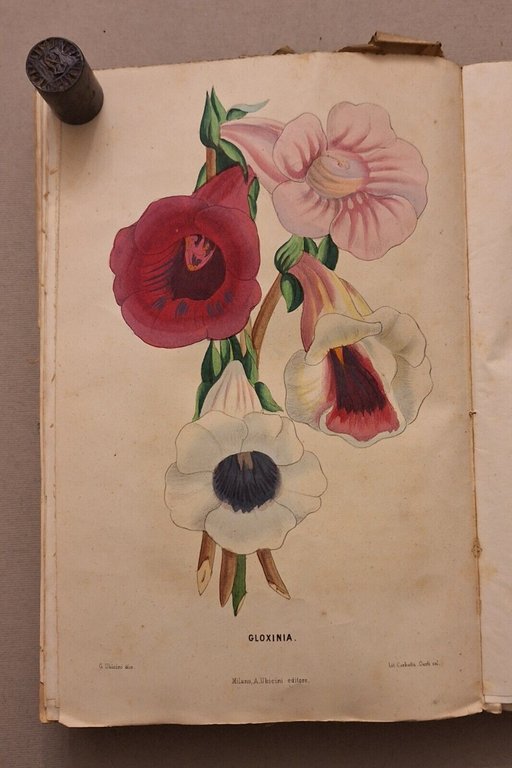 IL GIARDINIERE GIORNALE D'ORTICOLTURA TEORICA E PRATICA A.UBICINI 1852-1853-1854