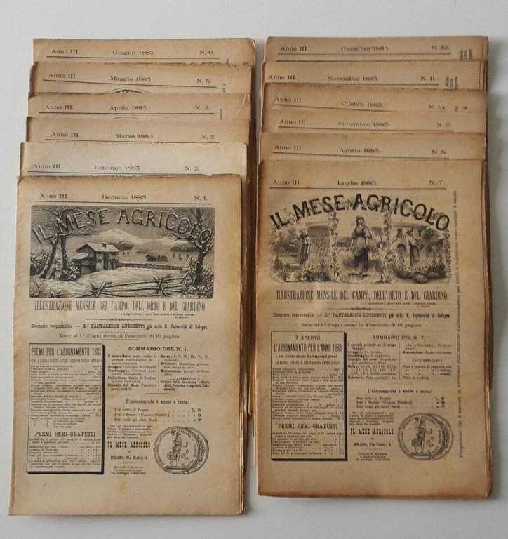 IL MESE AGRICOLO RIVISTA ANNO III ANNATA 1883 COMPLETA