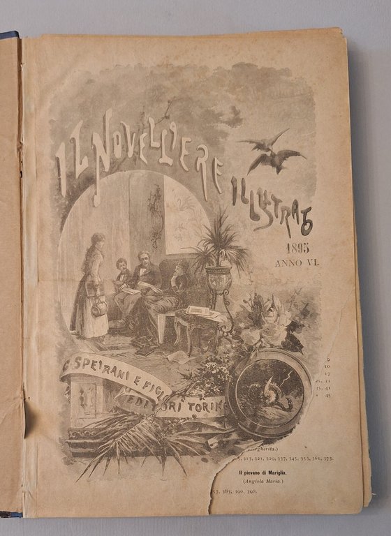 IL NOVELLLIERE ILLUSTRATO 1895 ANNO VI C. SPEIRANI E FIGLI …