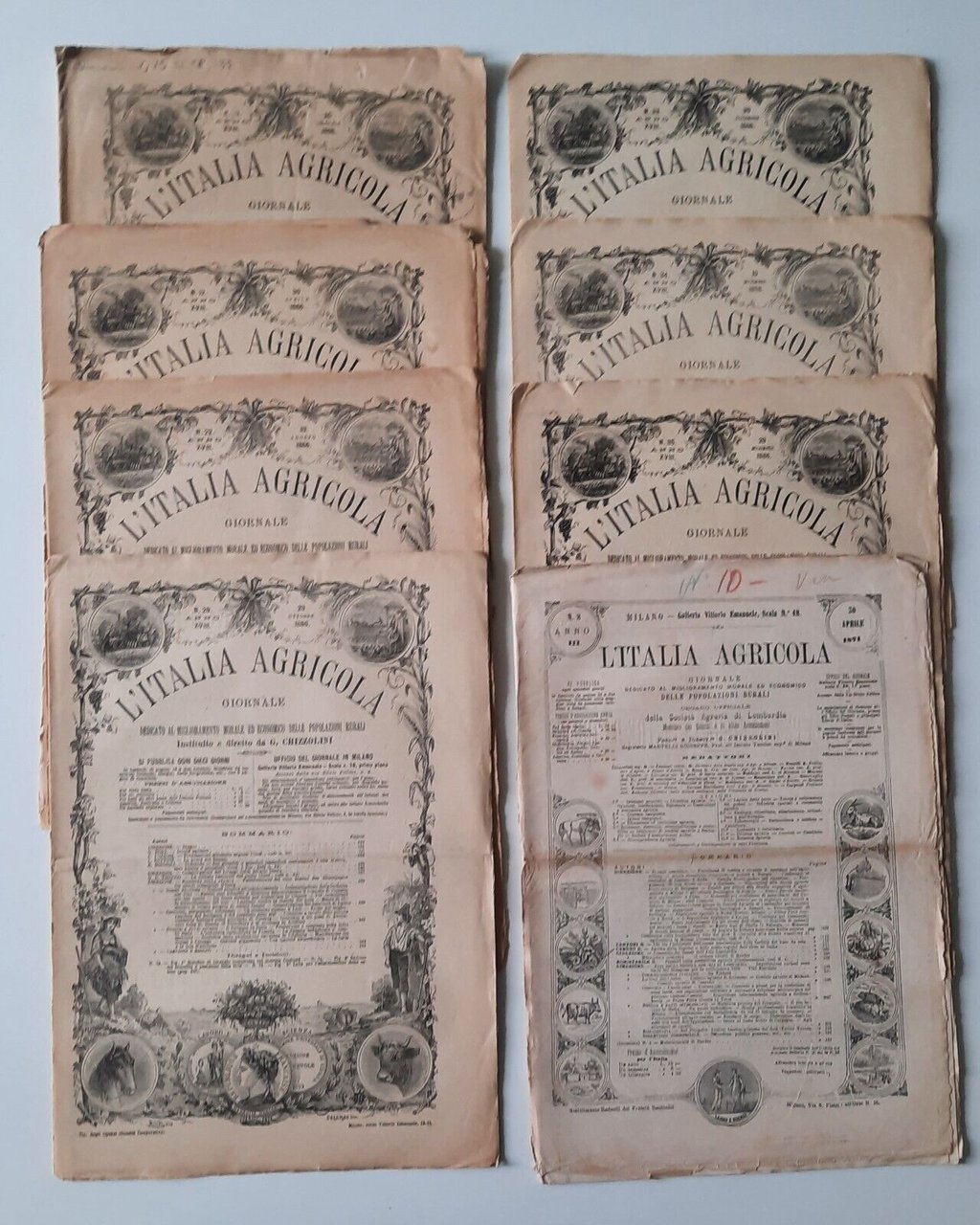 ITALIA AGRICOLA GIORNALE DI G. CHIZZOLINI 1886/ 71 8 NUMERI