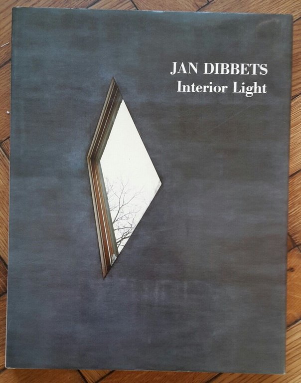JAN DIBBETS INTERIOR LIGHT RIZZOLI 1991