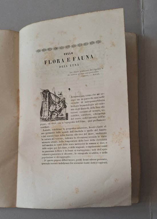 LUCUBRAZIONI SULLA FLORA E FAUNA DELL'ETNA L'ORIGINE SPELONCHE NELLE LAVE …