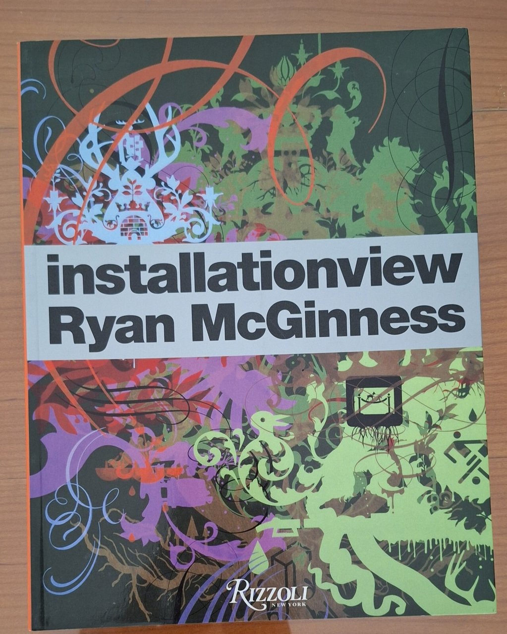 RYAN MCGINNESS INSTALLATIONVIEW RIZZOLI 2004