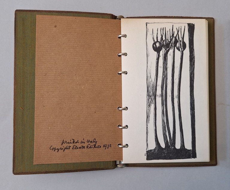 TACCUINI DI LEO LIONNI ELECTA 1972