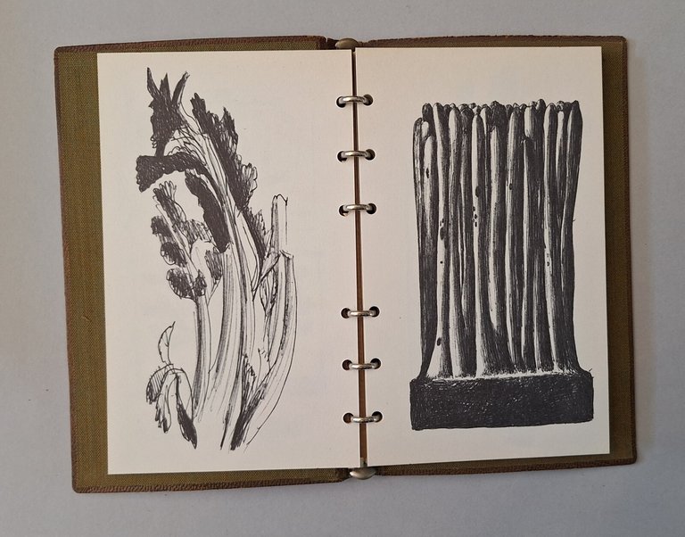 TACCUINI DI LEO LIONNI ELECTA 1972