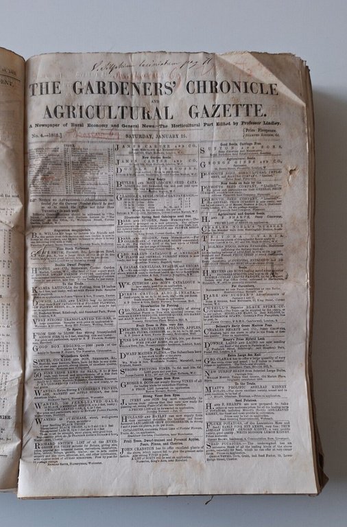 THE GARDENERS' CHRONICLE AND AGRICULTURAL GAZETTE FOR 1862 SCOMPLETO