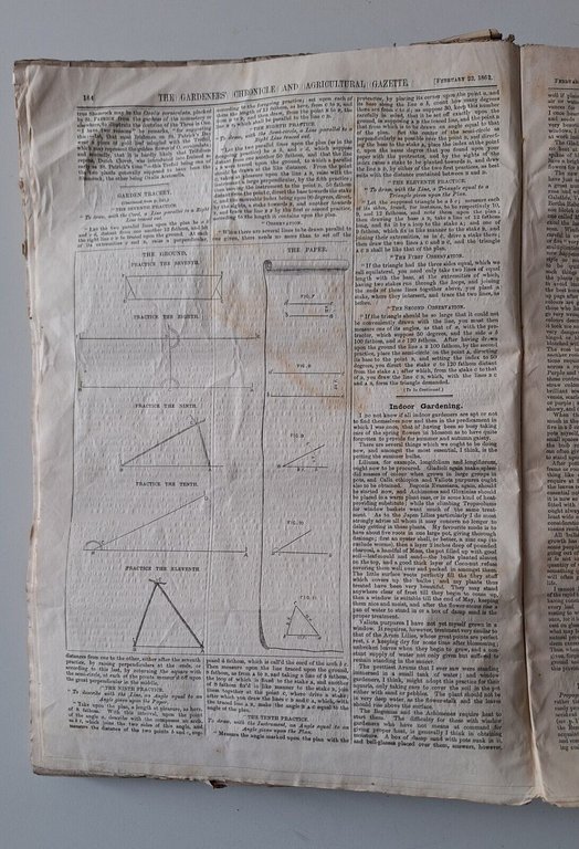 THE GARDENERS' CHRONICLE AND AGRICULTURAL GAZETTE FOR 1862 SCOMPLETO