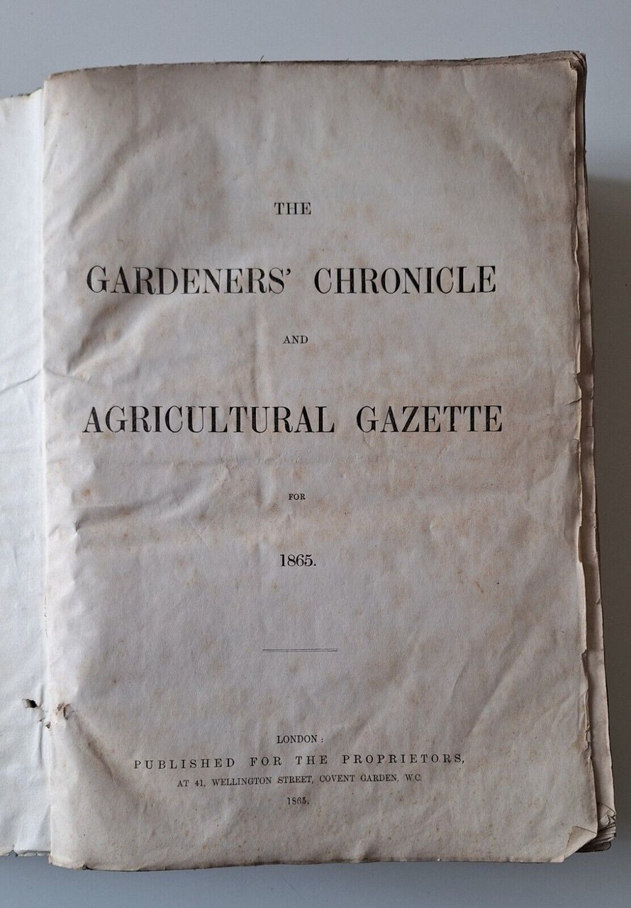 THE GARDENERS' CHRONICLE AND AGRICULTURAL GAZETTE FOR 1865 LONDON PUB. …